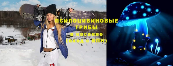 ГАЛЛЮЦИНОГЕННЫЕ ГРИБЫ Верхнеуральск