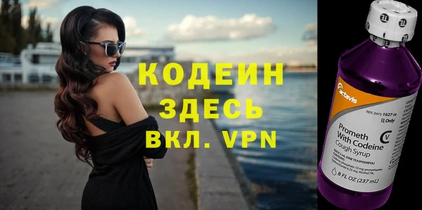 спиды Бородино
