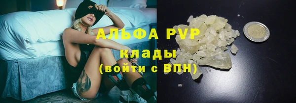 дмт Верея