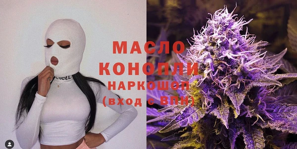 спиды Бородино