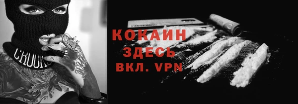 спиды Бородино