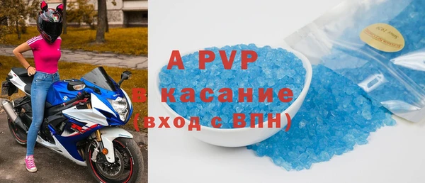 спиды Бородино