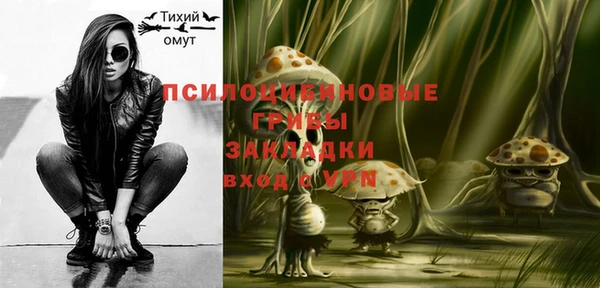 ГАЛЛЮЦИНОГЕННЫЕ ГРИБЫ Верхнеуральск