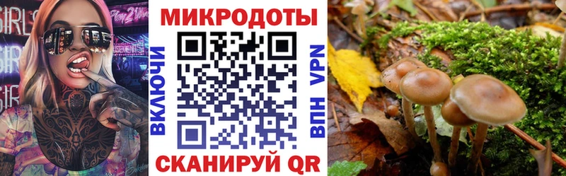 Галлюциногенные грибы прущие грибы  купить   Буйнакск 