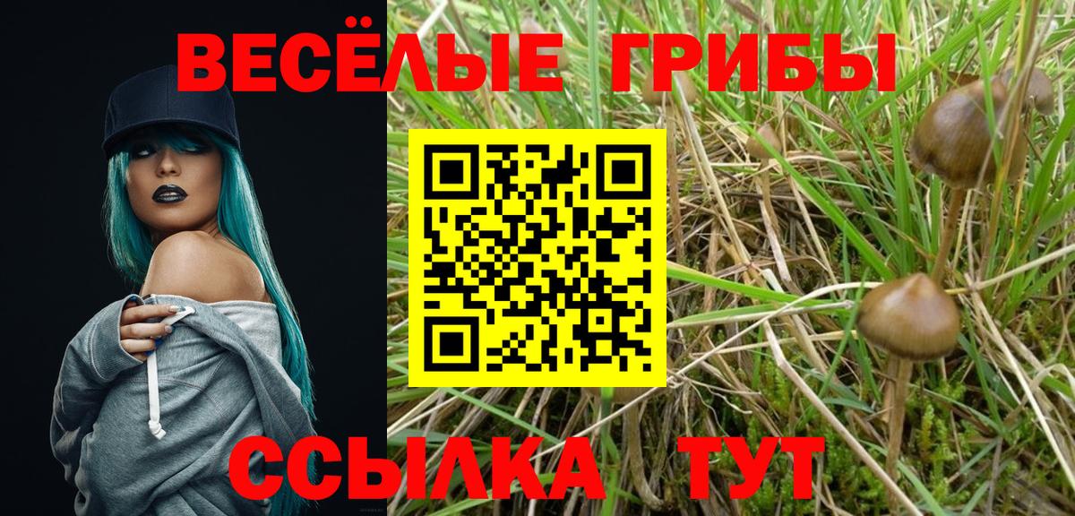 Псилоцибиновые грибы Magic Shrooms Буйнакск