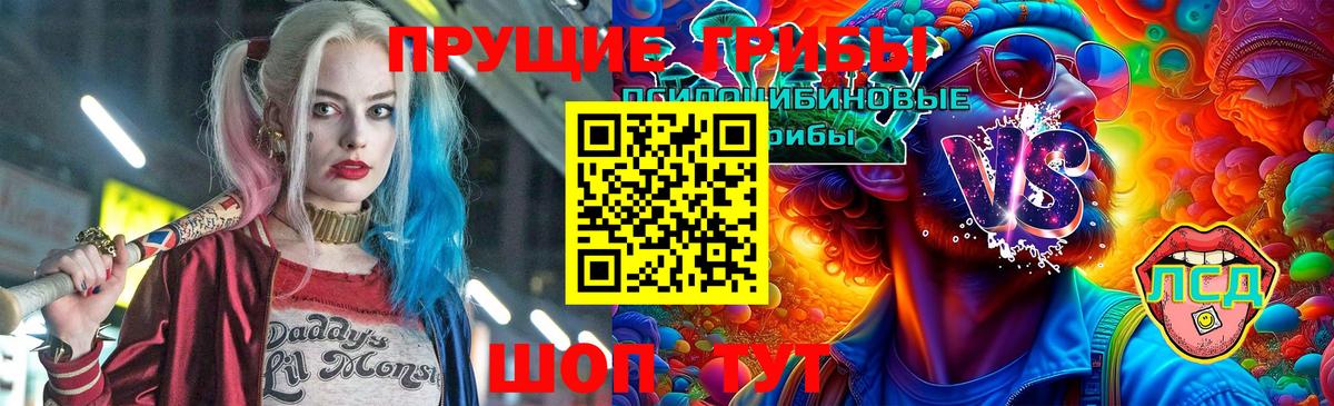 Буйнакск  Галлюциногенные грибы мицелий  Вход с VPN 